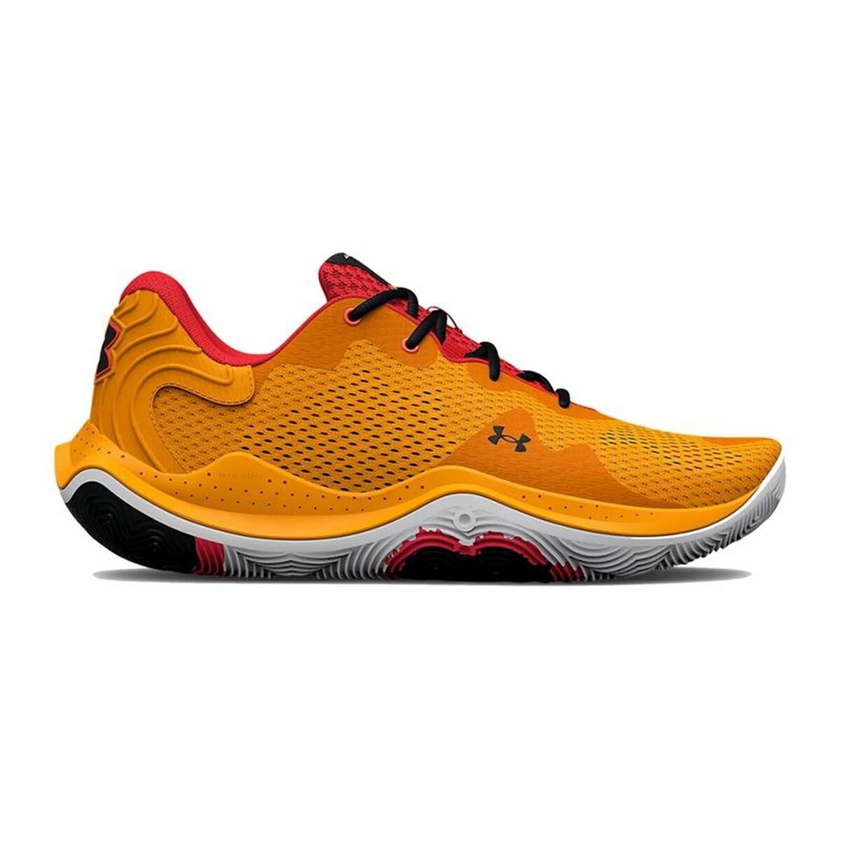 Roca Acrobacia Debilidad Zapatillas baloncesto 44 | Sprinter