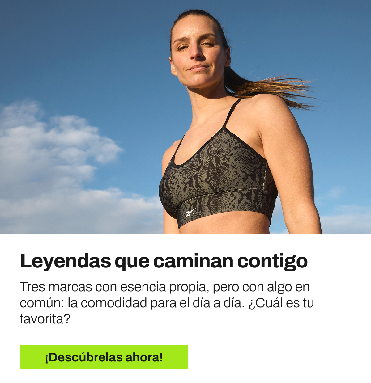 ¡Descúbrelas ahora!
